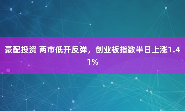 豪配投资 两市低开反弹，创业板指数半日上涨1.41%